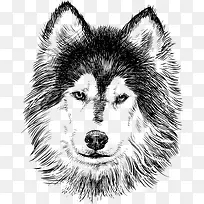 素描动物 素描-空若网 素描动物 素描-空若网