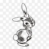 手绘兔子-空若网 手绘兔子-空若网