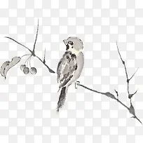 ˮī����֦��С������ز�-������