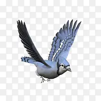 ���ŵ���-������