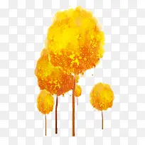 ��ͨ��ɫ��-������