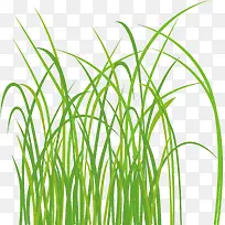 杂草装饰假花假草-空若网 杂草装饰假花假草-空若网