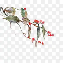 红果绿叶树枝-空若网 红果绿叶树枝-空若网