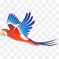 墙壁贴纸保险杠贴纸.双米拉-空若网 墙壁贴纸保险杠贴纸.双米拉-空若网