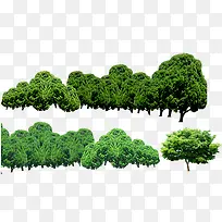 树-空若网 树-空若网