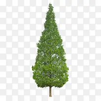 Ư������-������