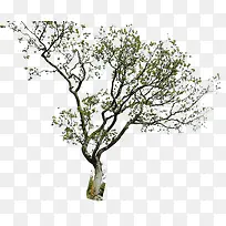 һ������-������