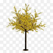一棵黄色的树-空若网 一棵黄色的树-空若网