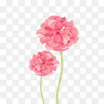 彩绘鲜花-空若网 彩绘鲜花-空若网