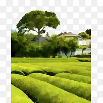 手绘绿色家园-空若网 手绘绿色家园-空若网