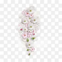 白色花朵-空若网 白色花朵-空若网