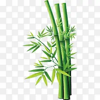 可爱卡通竹子-空若网 可爱卡通竹子-空若网