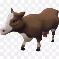 龙皮角小牛,吉罗兰多牛,泽西牛,安格斯牛-母牛-空若网 龙皮角小牛,吉罗兰多牛,泽西牛,安格斯牛-母牛-空若网