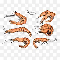 手绘虾子免抠图下载-空若网 手绘虾子免抠图下载-空若网