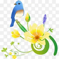 手绘小鸟-空若网 手绘小鸟-空若网