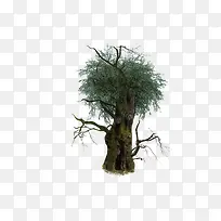 3D树-空若网 3D树-空若网