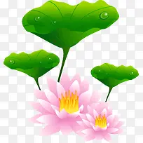 手绘荷花-空若网 手绘荷花-空若网