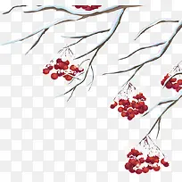 白色冬季积雪树枝-空若网 白色冬季积雪树枝-空若网