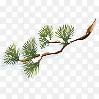 Ê÷Ö¦»ýÑ©-¿ÕÈôÍø Ê÷Ö¦»ýÑ©-¿ÕÈôÍø