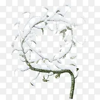 树枝-空若网 树枝-空若网