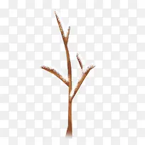 冬季积雪的树-空若网 冬季积雪的树-空若网