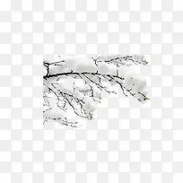树枝上的积雪-空若网 树枝上的积雪-空若网