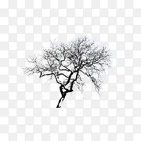 树枝上的积雪-空若网 树枝上的积雪-空若网