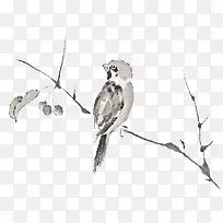 树枝上的小鸟-空若网 树枝上的小鸟-空若网