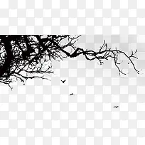 ��֦-������