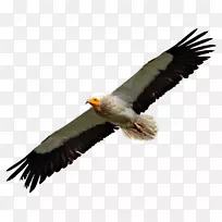 ����ͺӥ������ͺӥ���-������