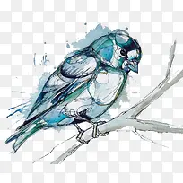 创意小鸟水彩画艺术-空若网 创意小鸟水彩画艺术-空若网
