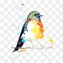 水彩小鸟-空若网 水彩小鸟-空若网