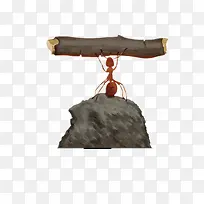 ����վ��ʯͷ�Ͼ�����֦���-������