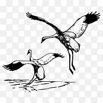 水里嬉戏的卡通手绘鸟-空若网 水里嬉戏的卡通手绘鸟-空若网