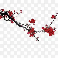 Ë®²Ê»ÖеÄ÷»¨-¿ÕÈôÍø Ë®²Ê»ÖеÄ÷»¨-¿ÕÈôÍø