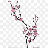 植物-空若网 植物-空若网