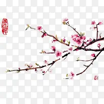 ֲ��-������