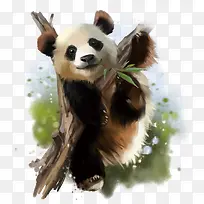 矢量熊猫-空若网 矢量熊猫-空若网