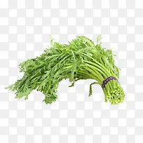 绿色蔬菜茼蒿-空若网 绿色蔬菜茼蒿-空若网