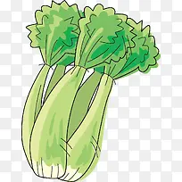 蔬菜简图-空若网 蔬菜简图-空若网