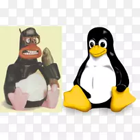 操作系统linux安装窗口-空若网 操作系统linux安装窗口-空若网