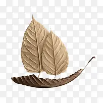 树叶艺术创意船图案-空若网 树叶艺术创意船图案-空若网