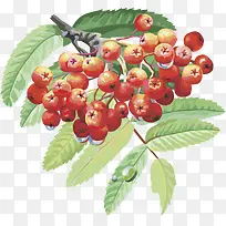 ˮ��ʸ��ͼ������ӣ��-������