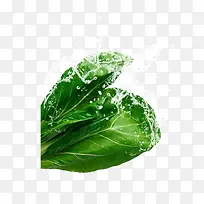 蔬菜-空若网 蔬菜-空若网