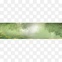 树林花朵背景-空若网 树林花朵背景-空若网