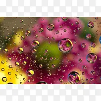 玻璃水珠鲜花背景-空若网 玻璃水珠鲜花背景-空若网