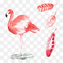 矢量丹顶鹤-空若网 矢量丹顶鹤-空若网