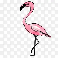 手绘丹顶鹤矢量素材-空若网 手绘丹顶鹤矢量素材-空若网