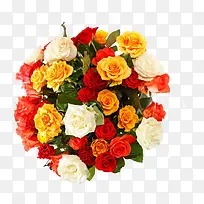 一束多彩的鲜艳花朵-空若网 一束多彩的鲜艳花朵-空若网