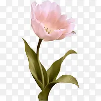 ��ɫ����ĵ����-������